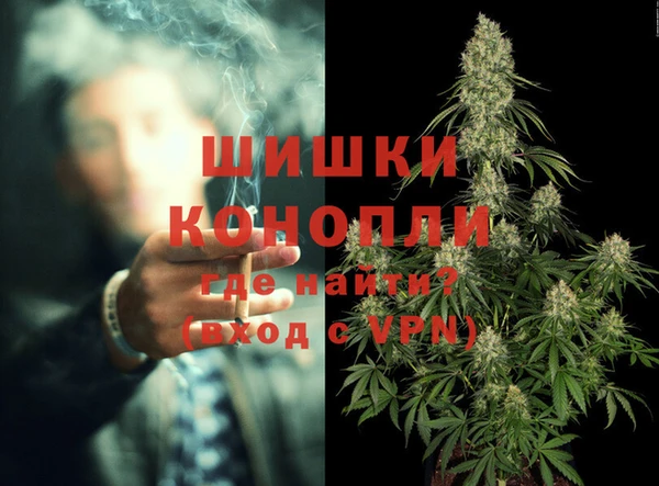 сатива Пестово