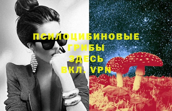 сатива Пестово