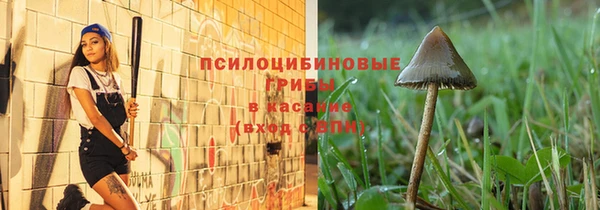 сатива Пестово